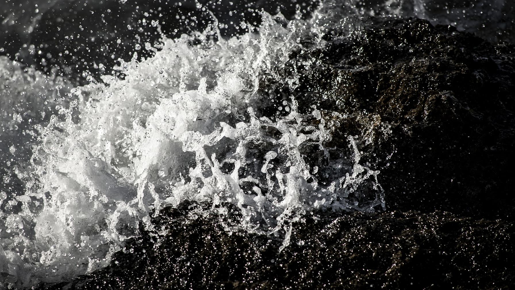 White sea foam breaking over dark wet rock, high contrast, frozen mid-motion.